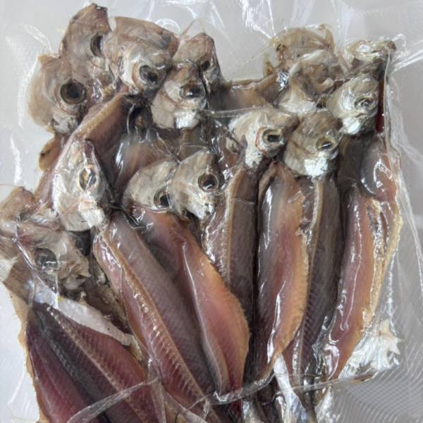 Ikan Tamban Belah Tengah